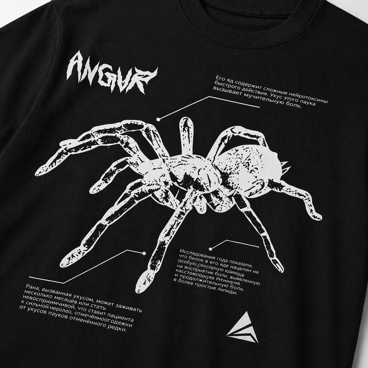 SPIDER OVERSIZED TEE